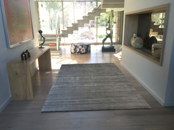 LRG107 S Essentials Silver - In Situ 4