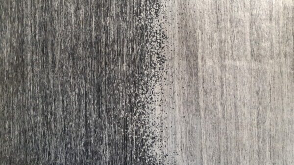 LRG161 - Close up