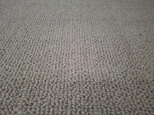 LRG598 B Acacia Beige - Close Up 2
